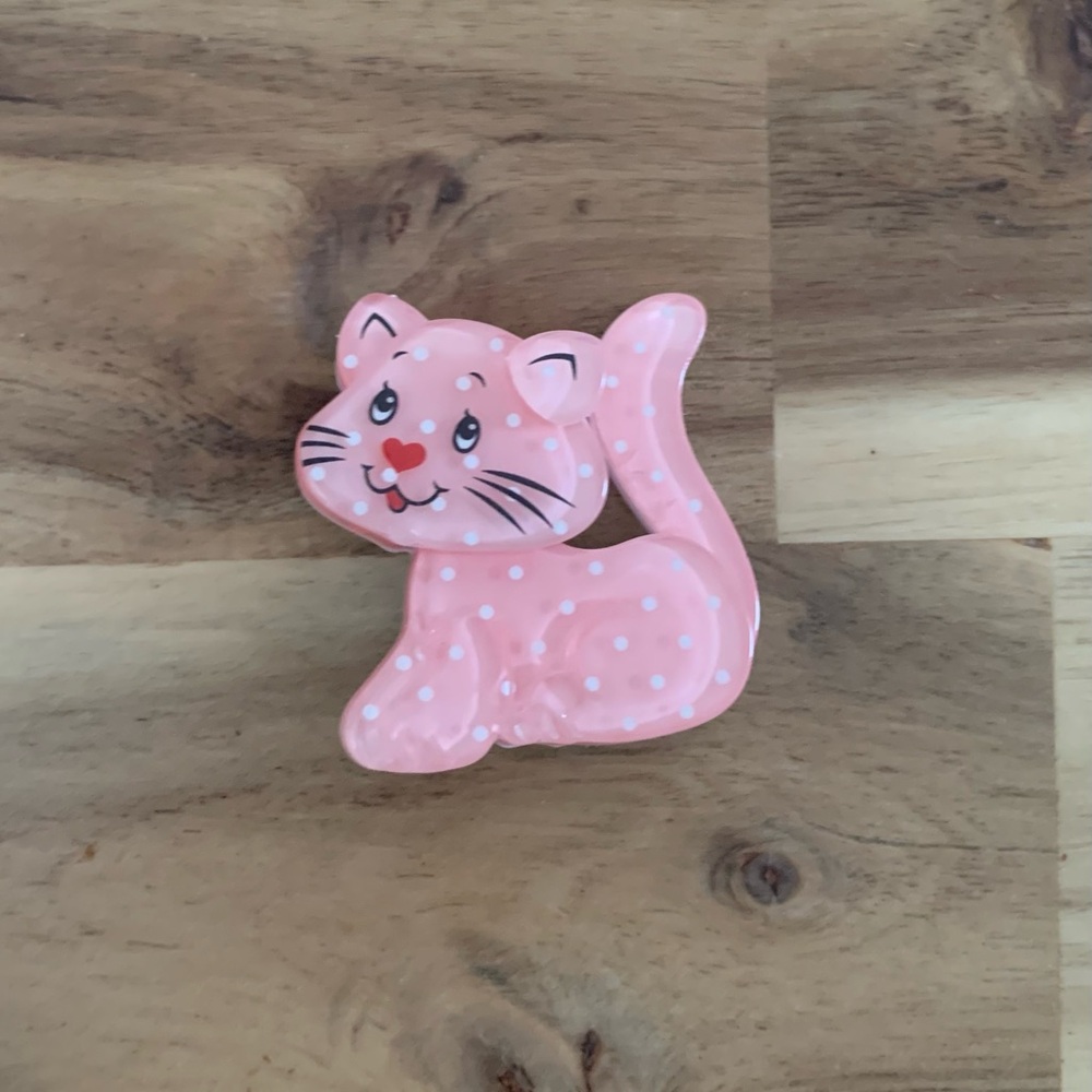 Erstwilder Custard Cat Mini brooch Strawberry Shortcake Pin NWOT